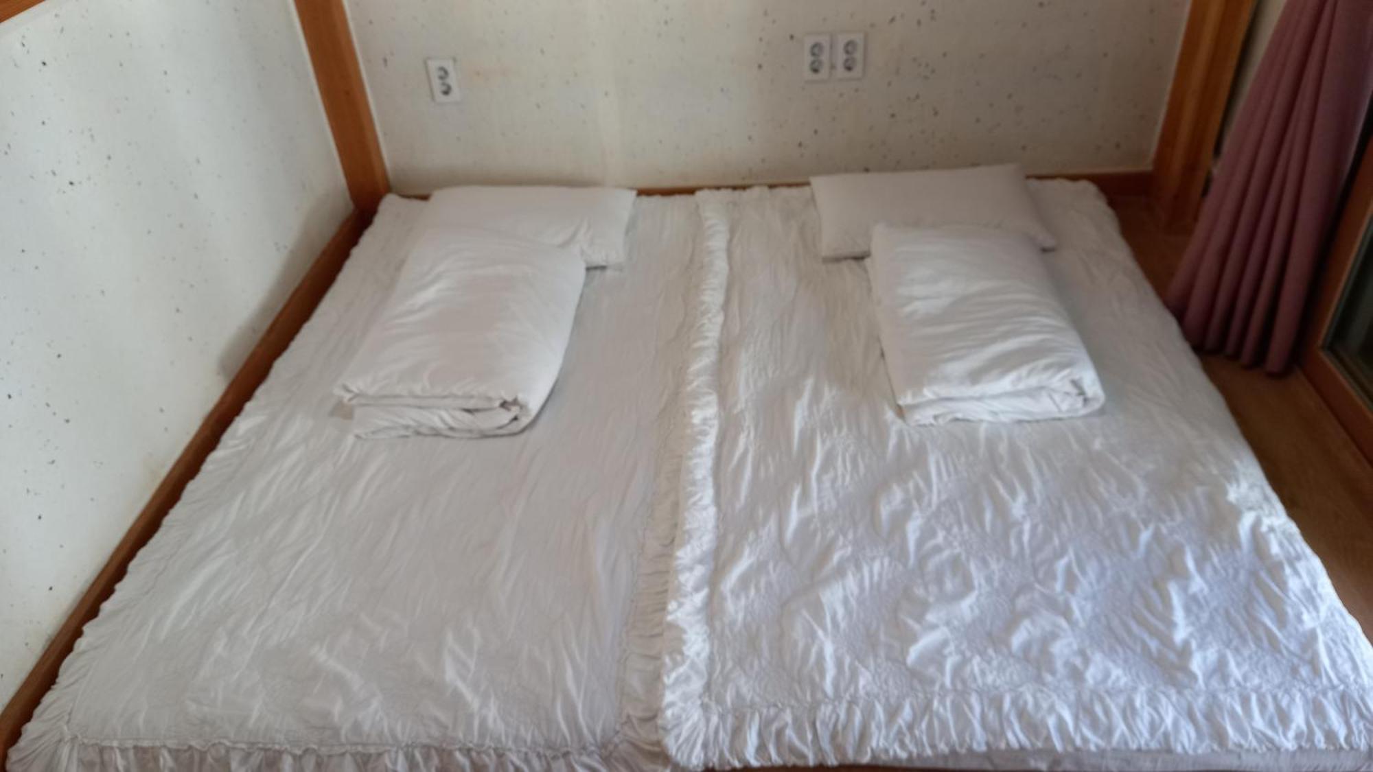 아담게스트하우스 경주 외부 사진